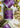 Three 'ROMANTASY' candles with purple labels on a textured surface.